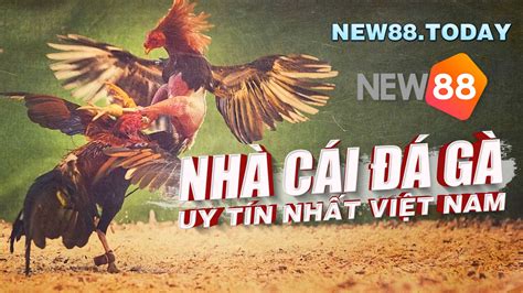 DAGA99 ️ Trang Đá Gà Uy Tín Nhất Việt Nam.